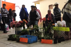 Feria por la salud y la vida, Jalamelco,Hdgo.
