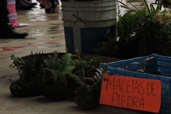 Feria por la salud y la vida, Jalamelco,Hdgo.