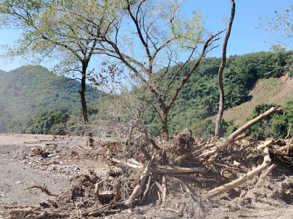 WhatsApp Image 2025-11-19 at 12.07.48